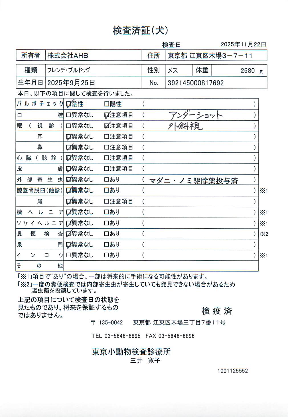 フレンチ・ブルドッグ