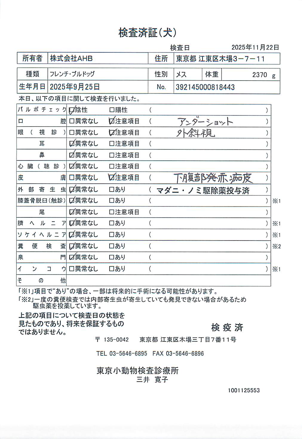 フレンチ・ブルドッグ
