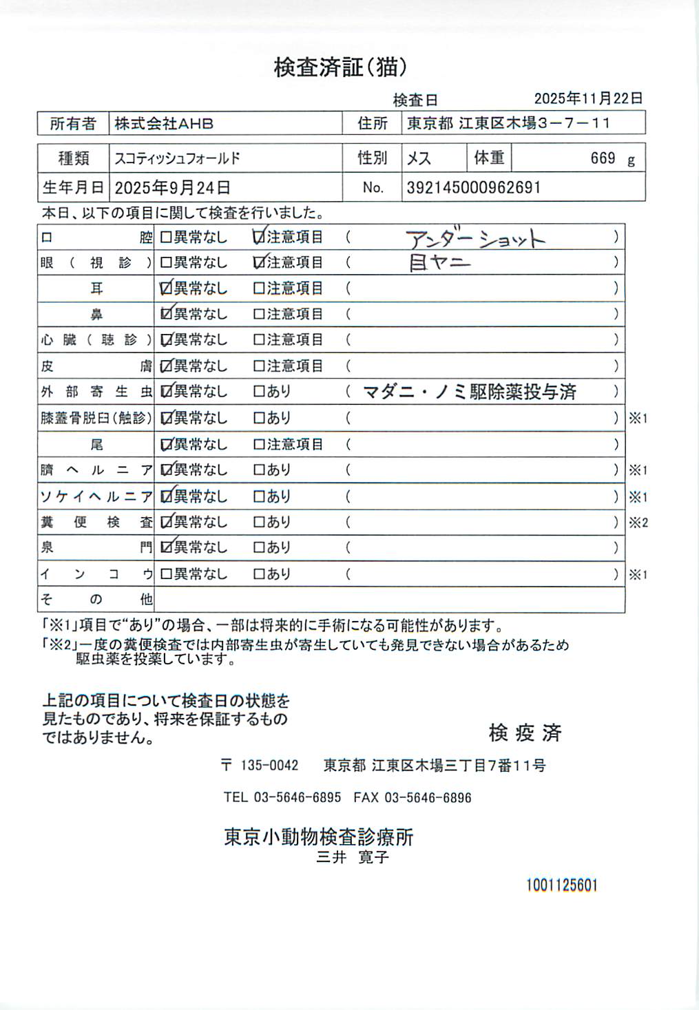 スコティッシュフォールド