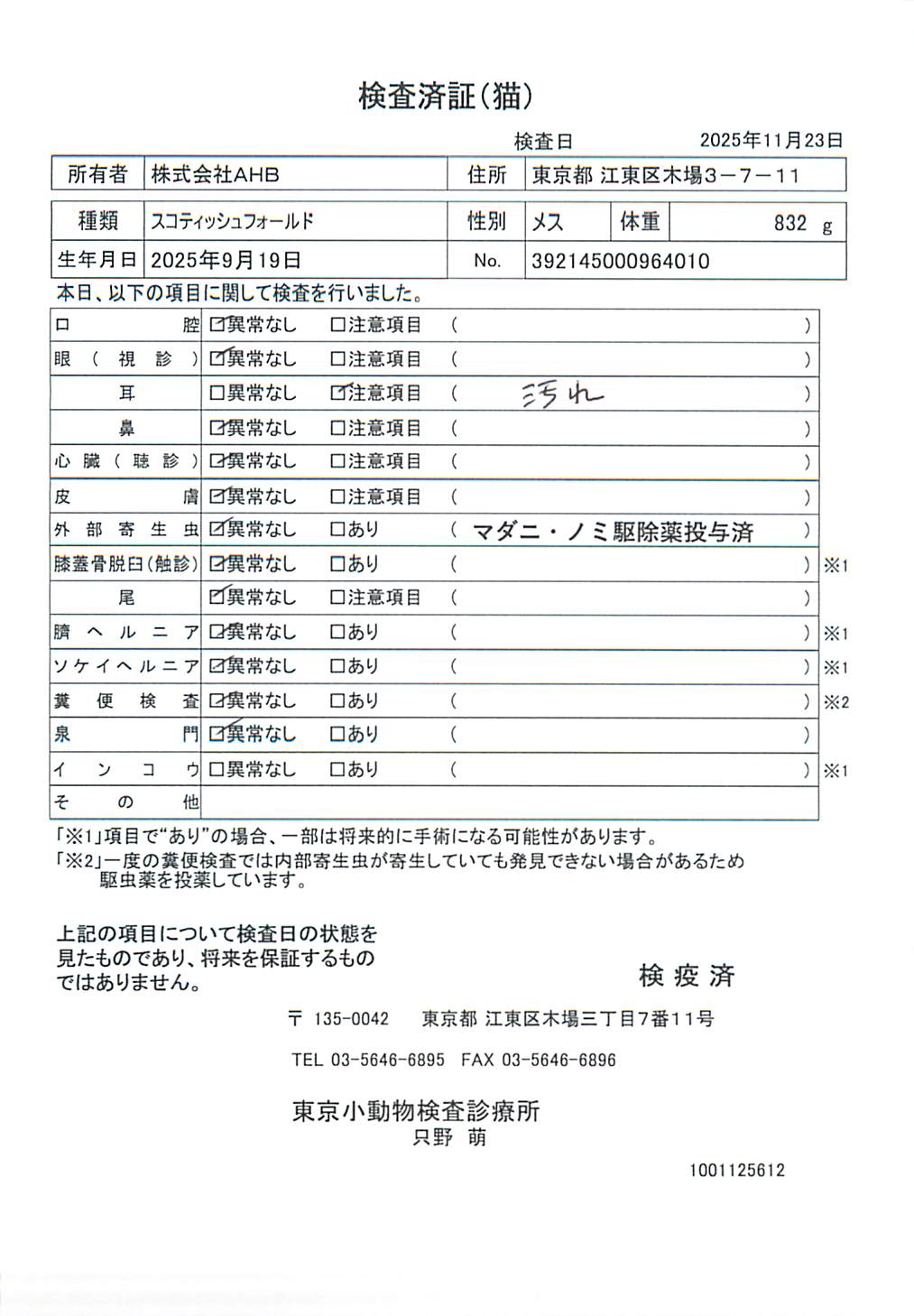 スコティッシュフォールド