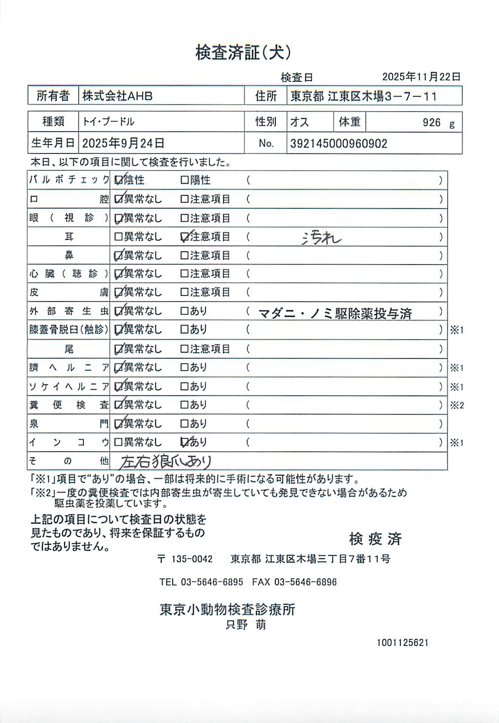トイ・プードル