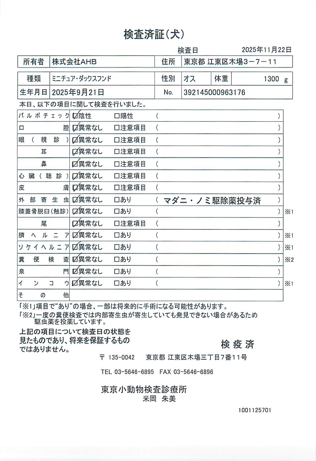 ミニチュア・ダックスフンド