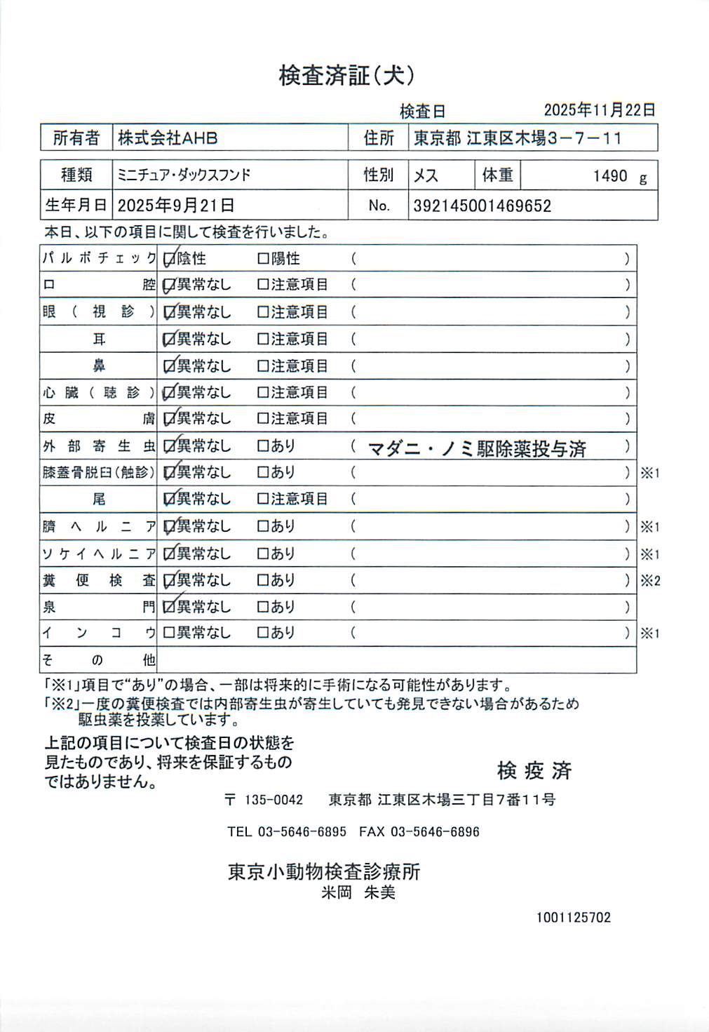 ミニチュア・ダックスフンド