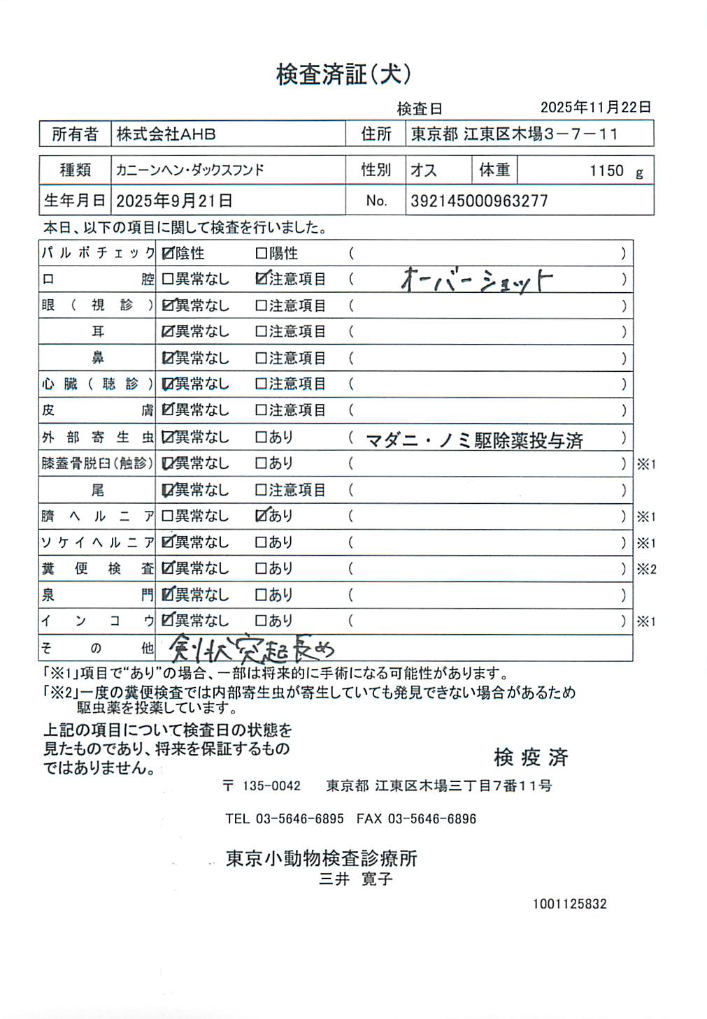 カニーンヘン・ダックスフンド
