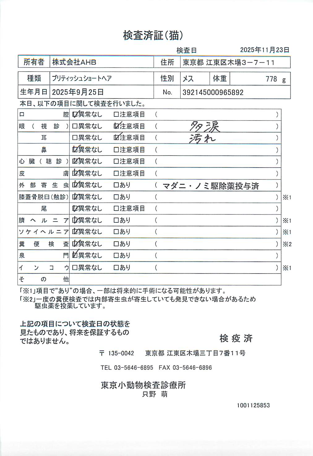 ブリティッシュショートヘア