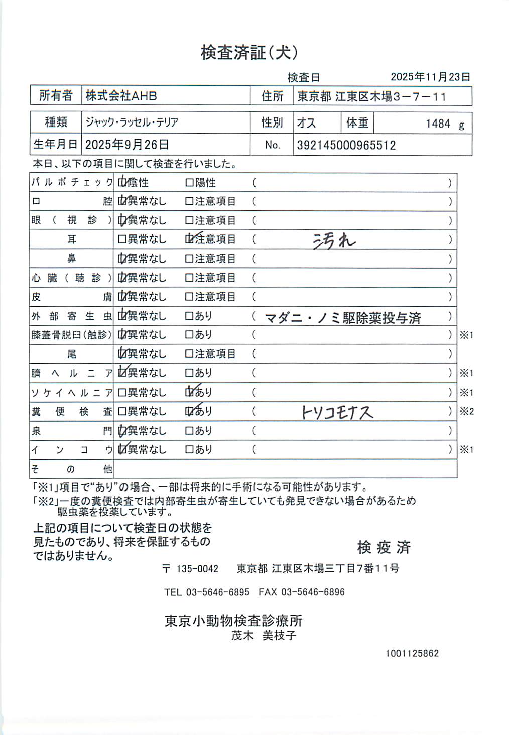 ジャック・ラッセル・テリア