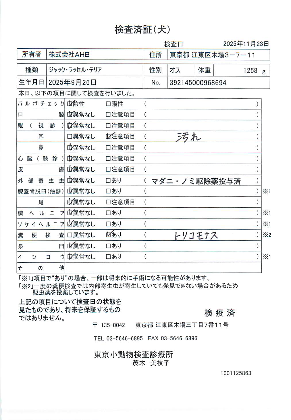 ジャック・ラッセル・テリア