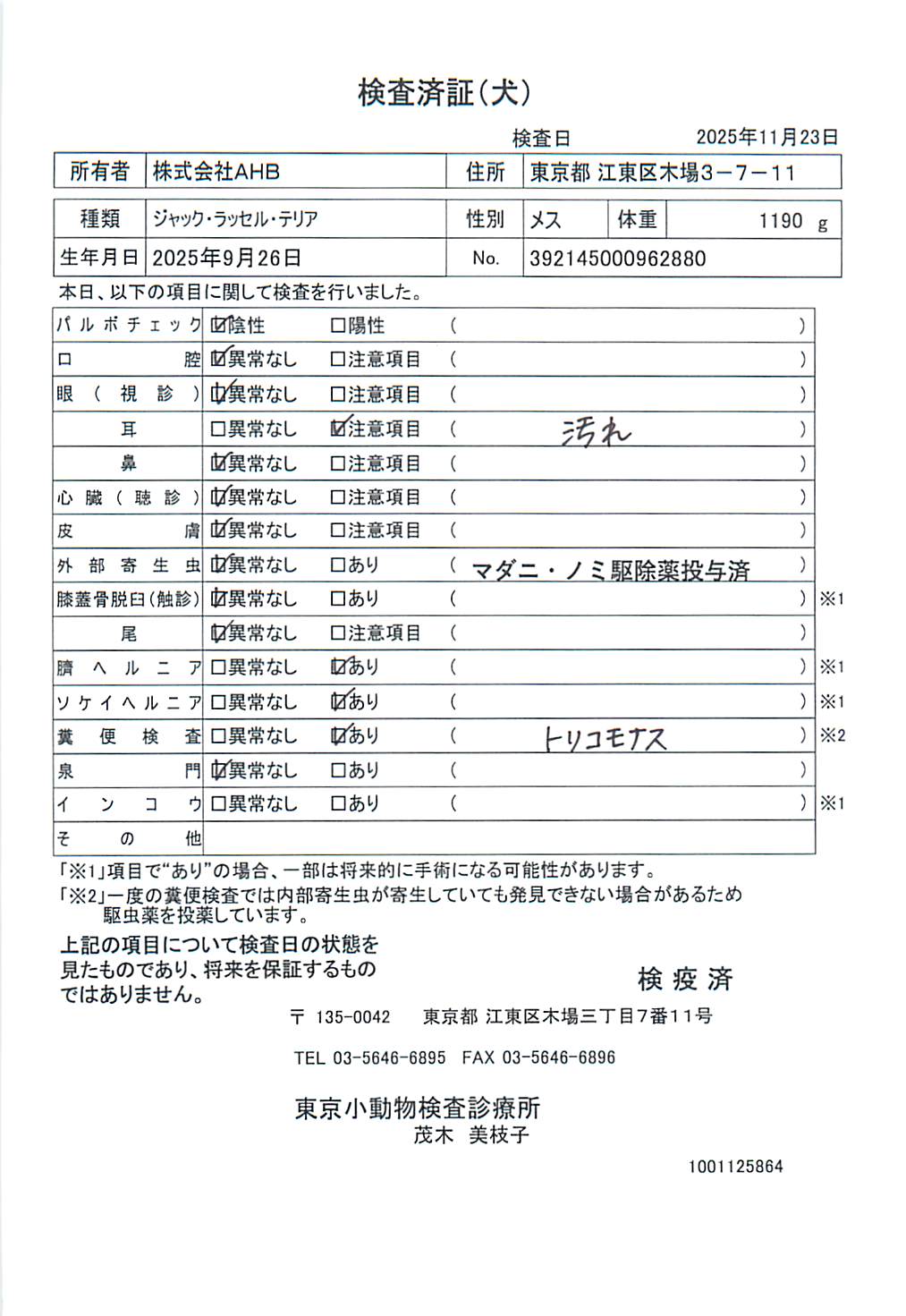 ジャック・ラッセル・テリア