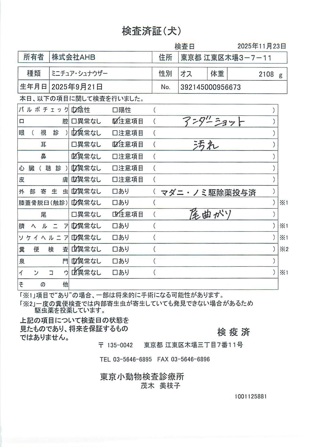 ミニチュア・シュナウザー