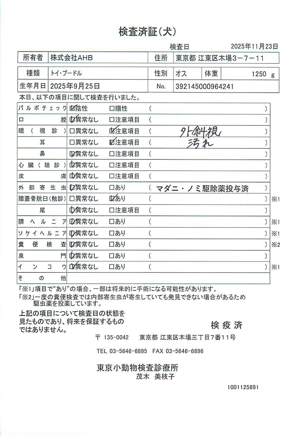 トイ・プードル