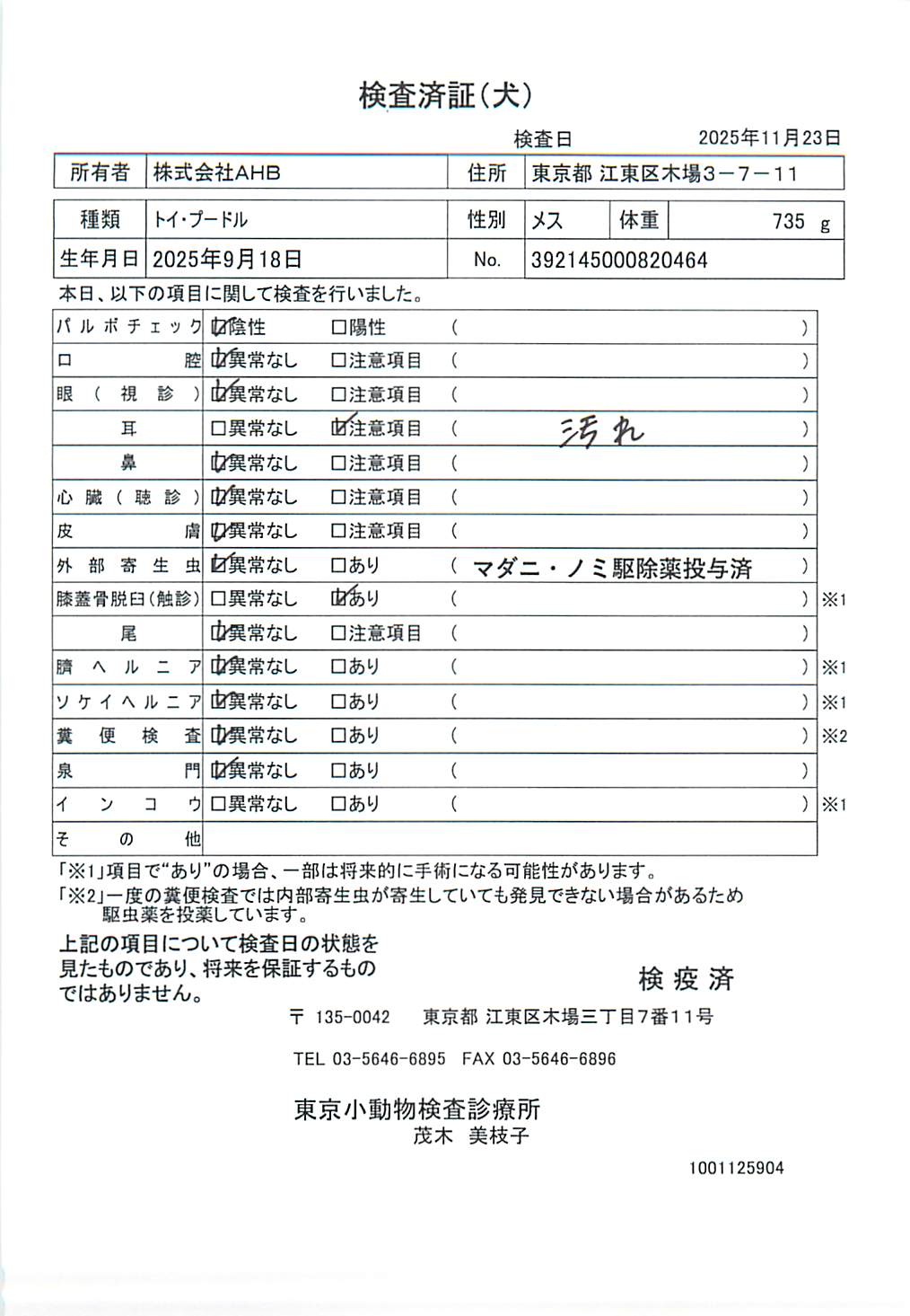 トイ・プードル