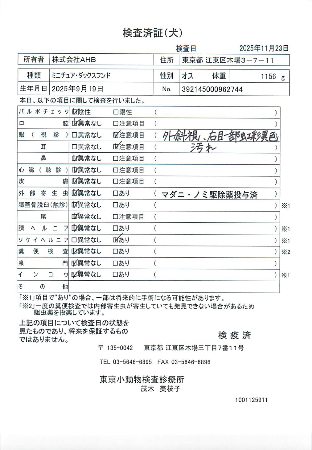 ミニチュア・ダックスフンド