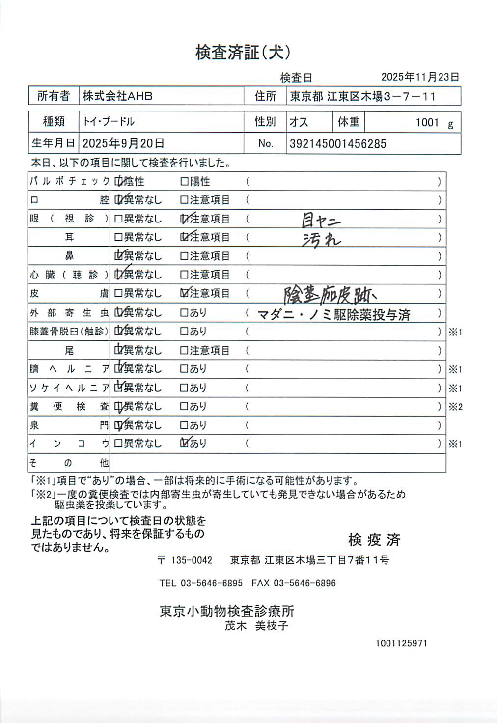 トイ・プードル