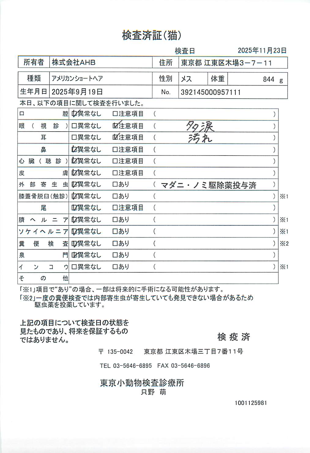 アメリカンショートヘア