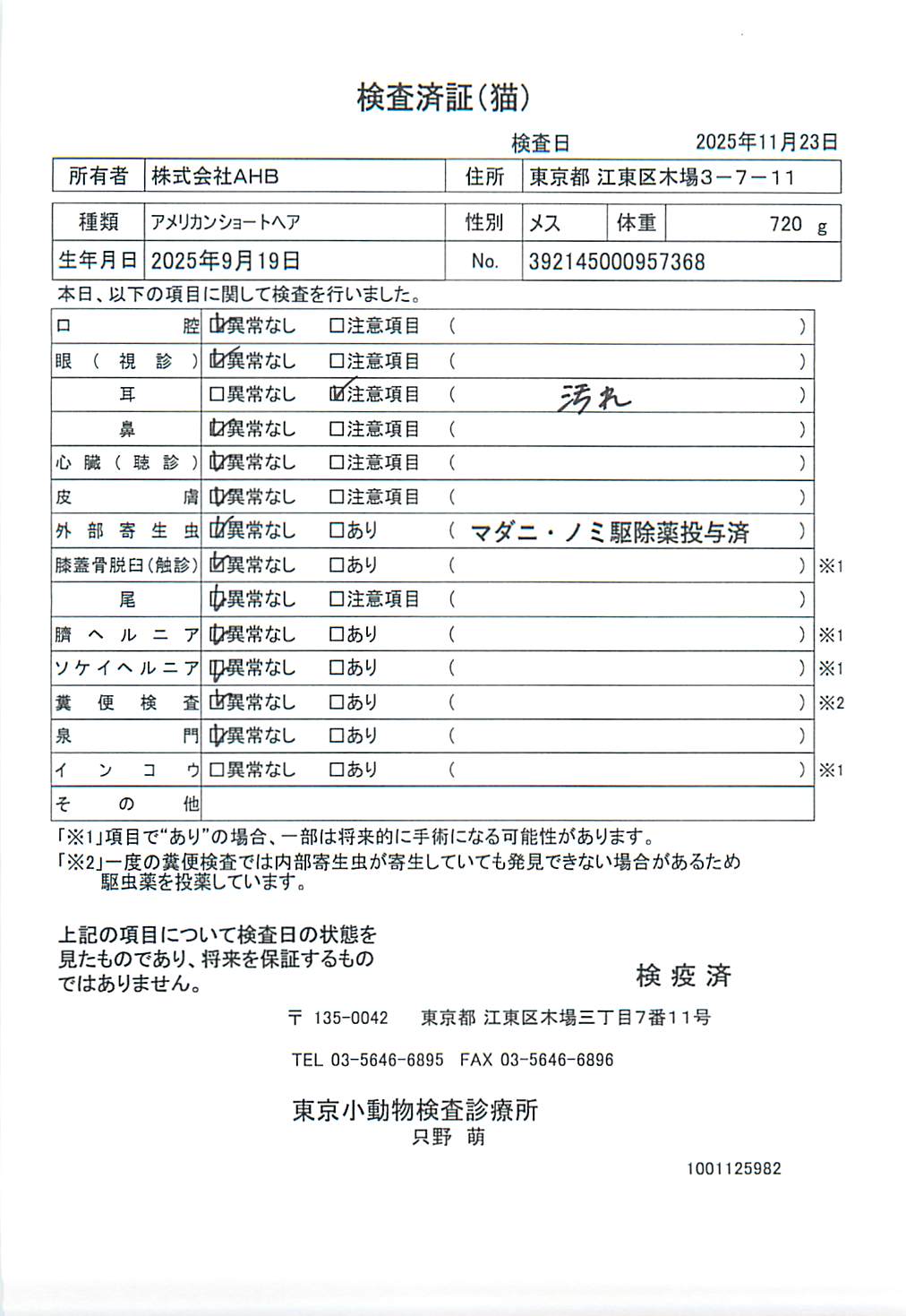 アメリカンショートヘア