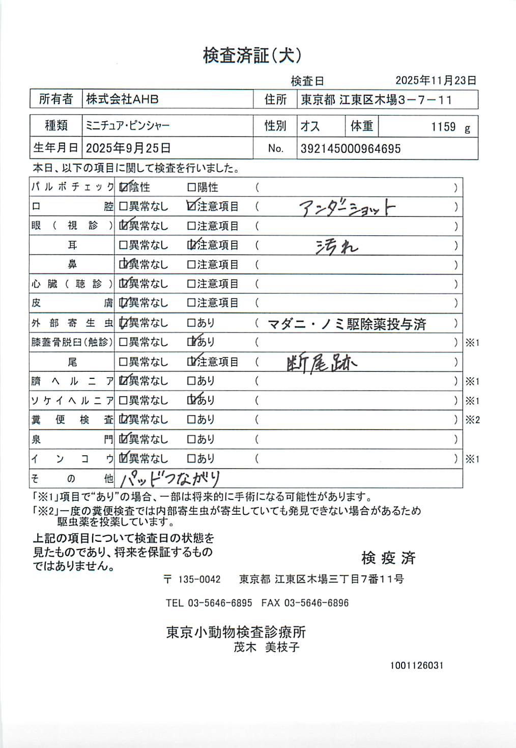 ミニチュア・ピンシャー