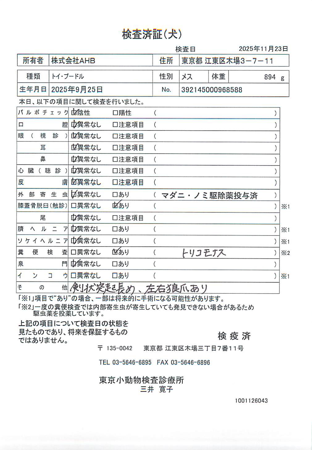 トイ・プードル