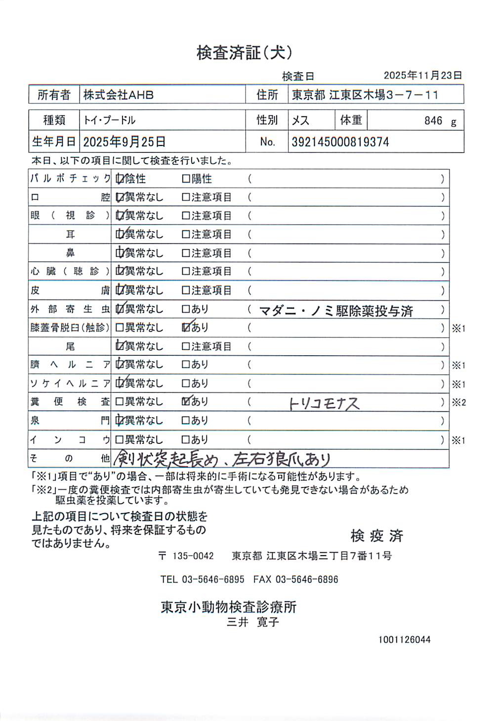 トイ・プードル