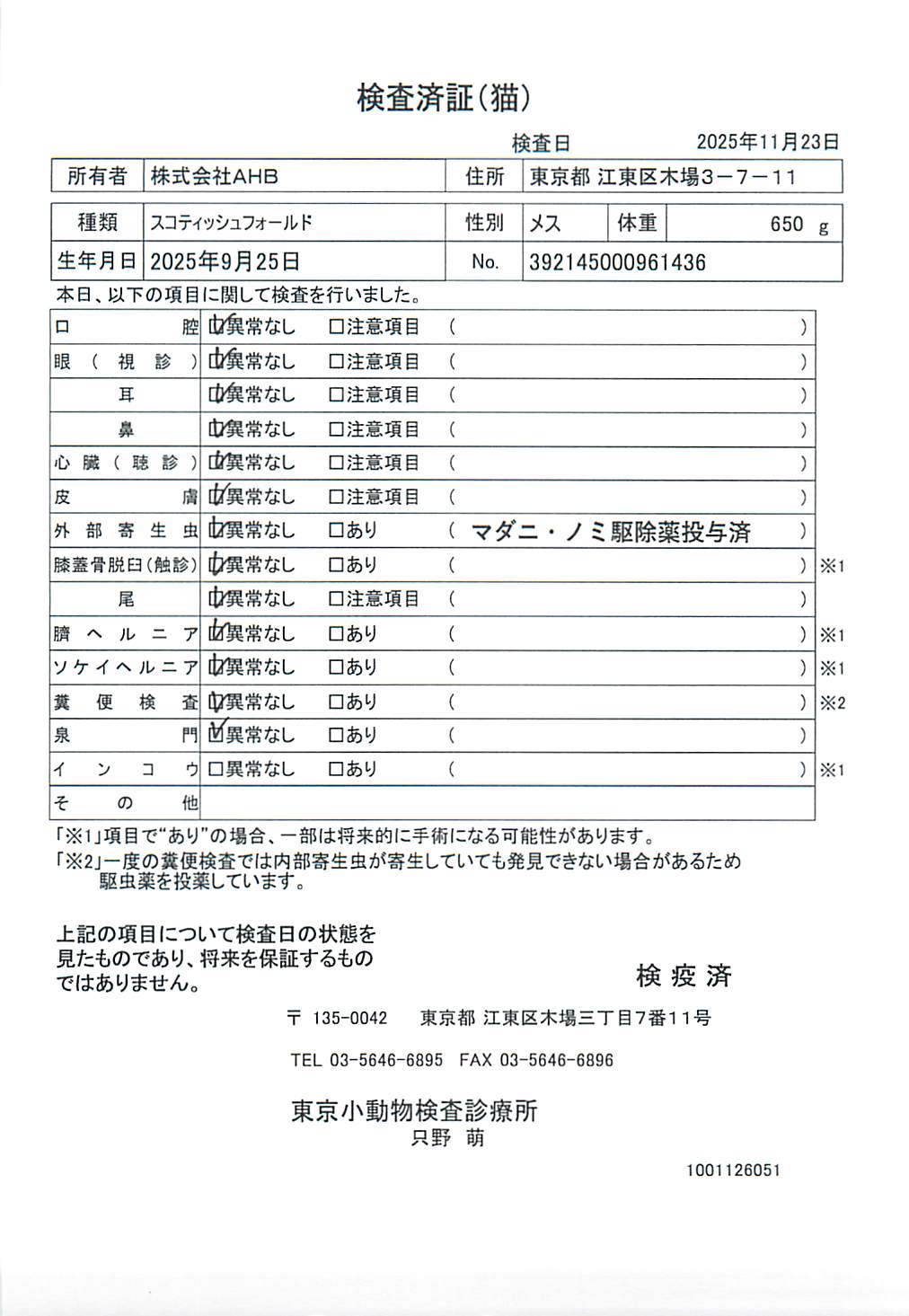 スコティッシュフォールド