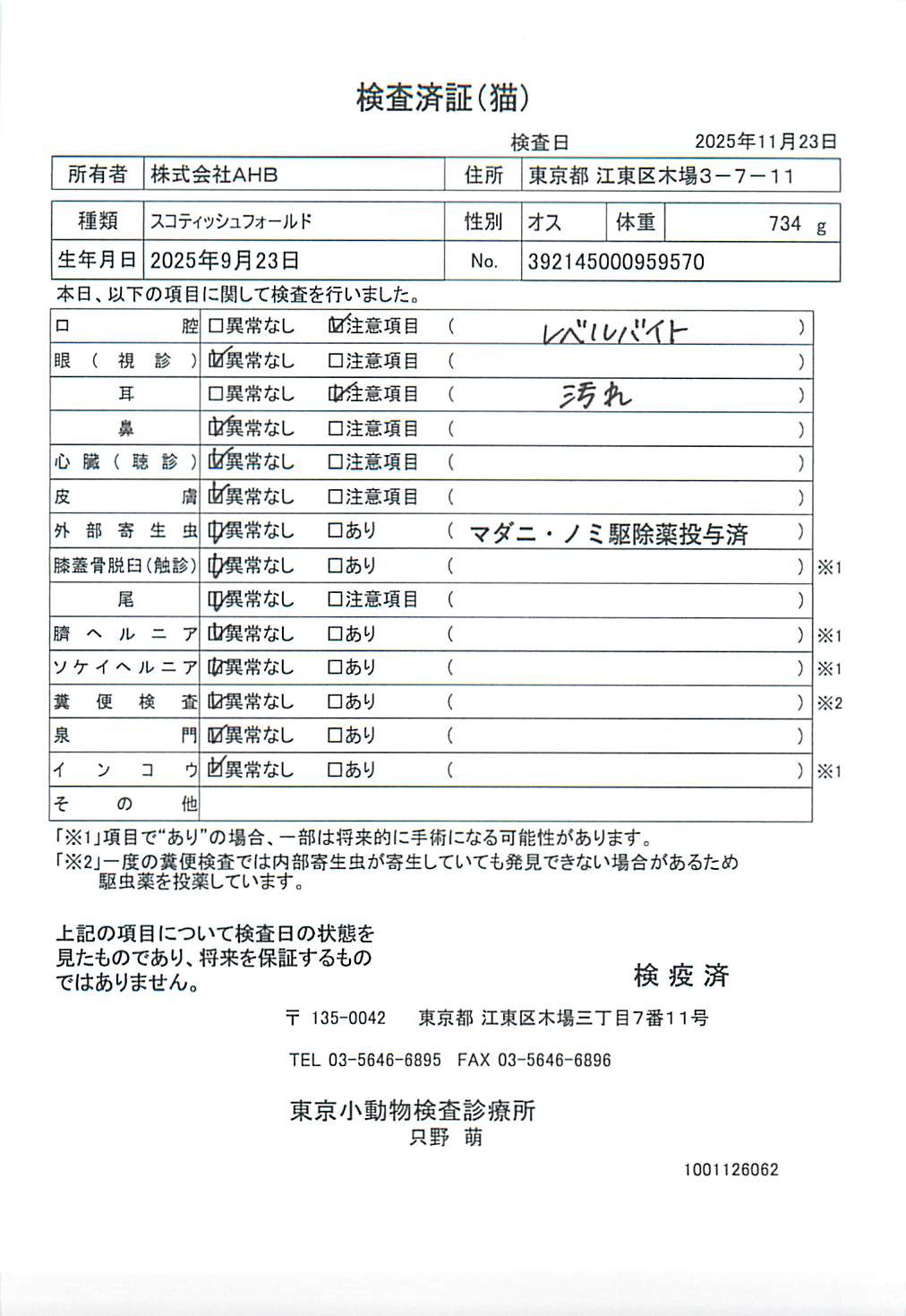 スコティッシュフォールド