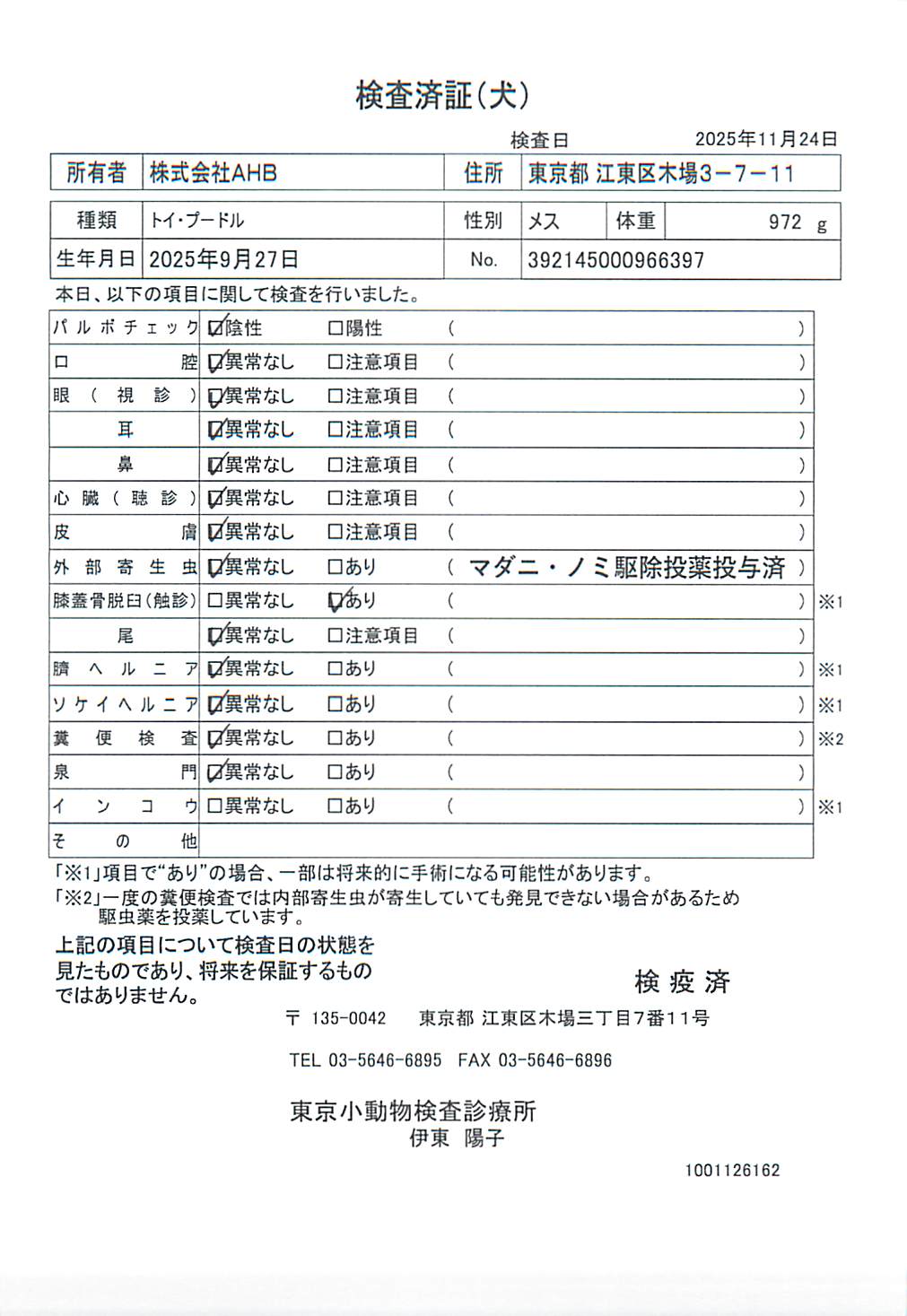 トイ・プードル