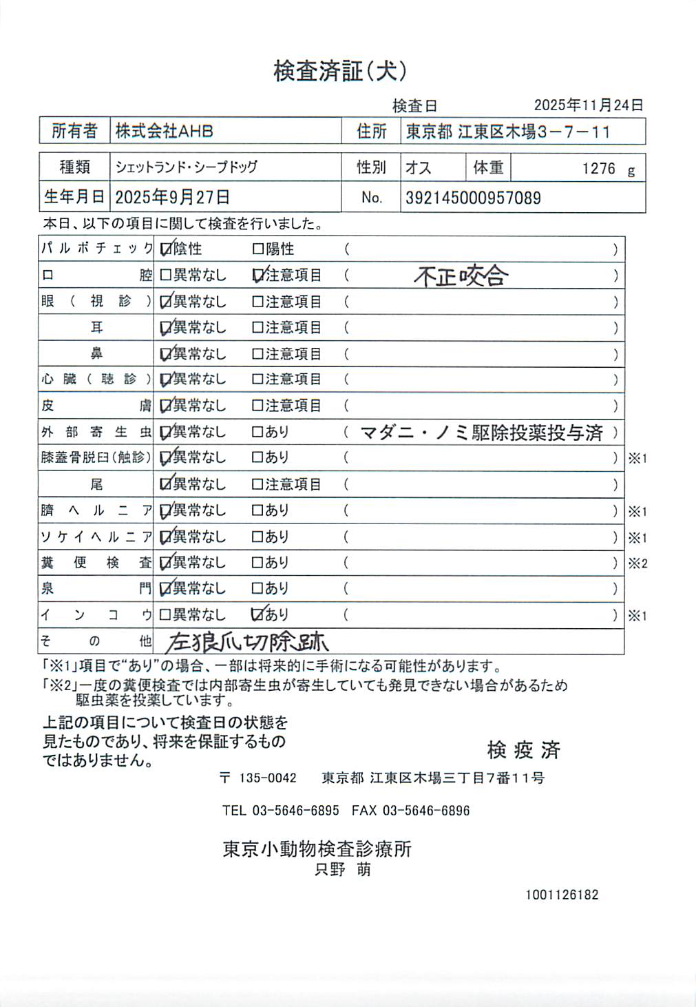 シェットランド・シープドッグ