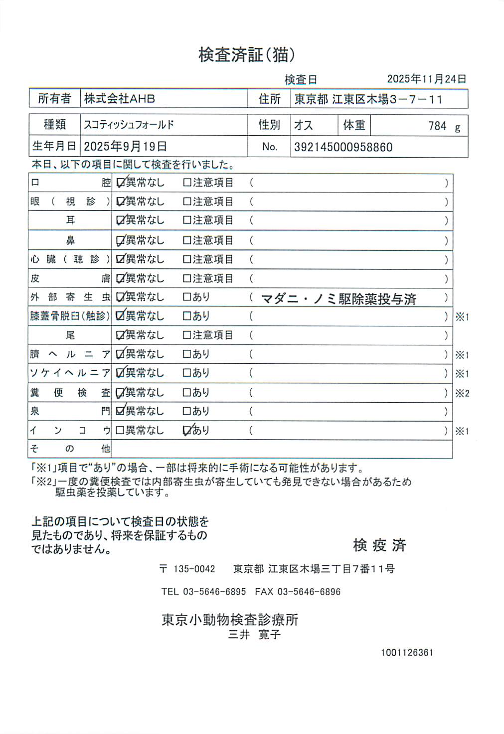 スコティッシュフォールド