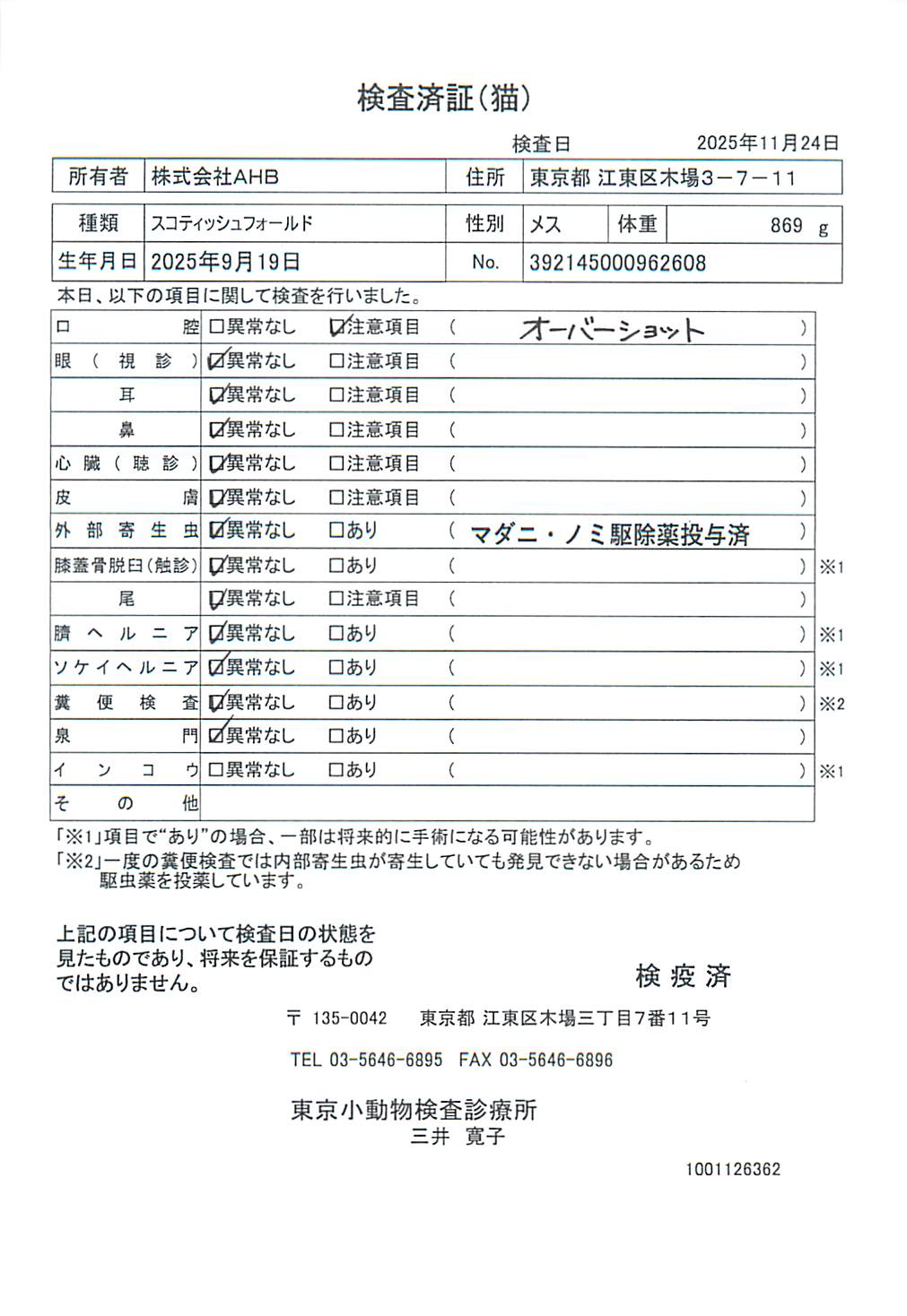 スコティッシュフォールド