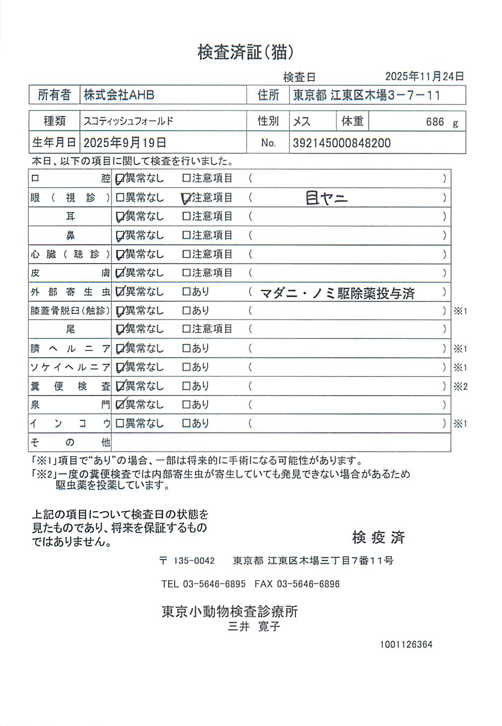 スコティッシュフォールド