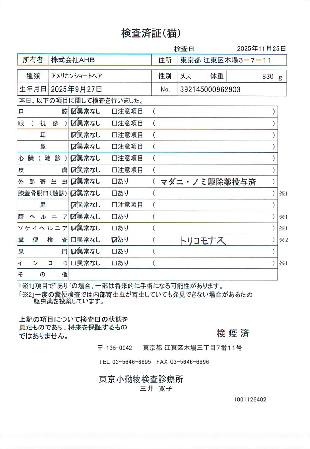 アメリカンショートヘア