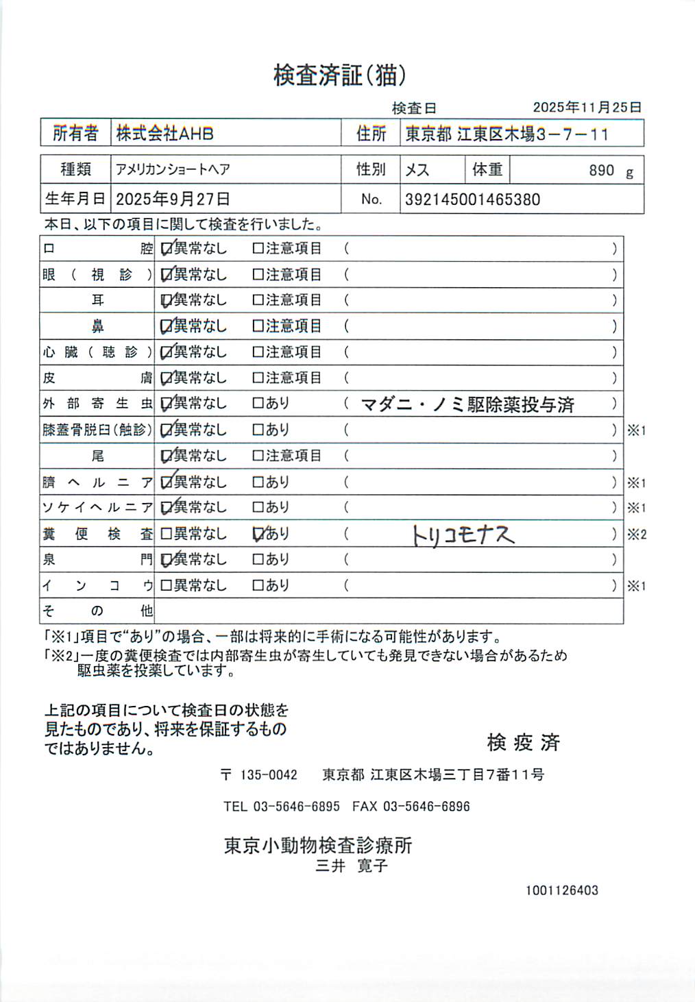 アメリカンショートヘア