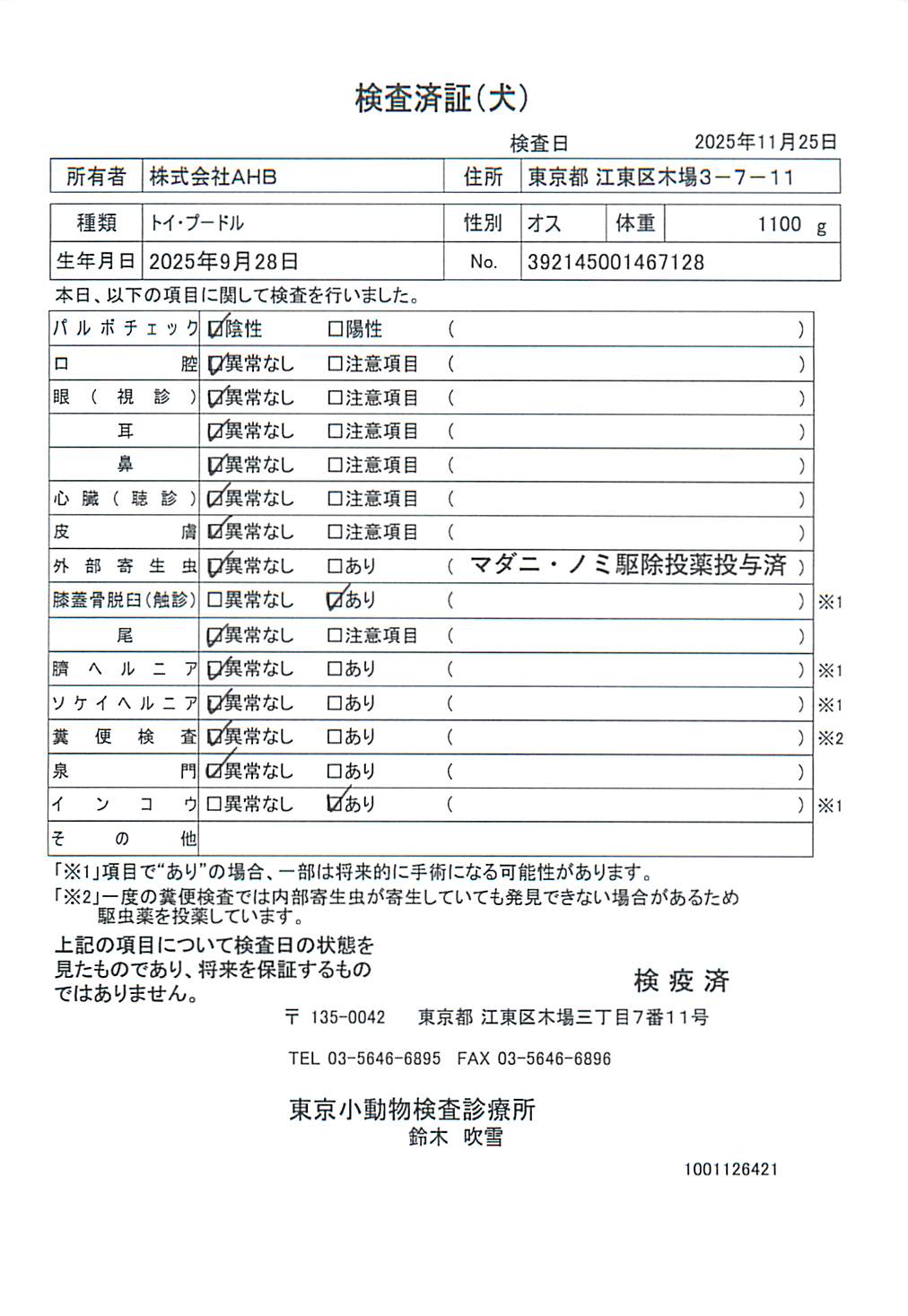 トイ・プードル