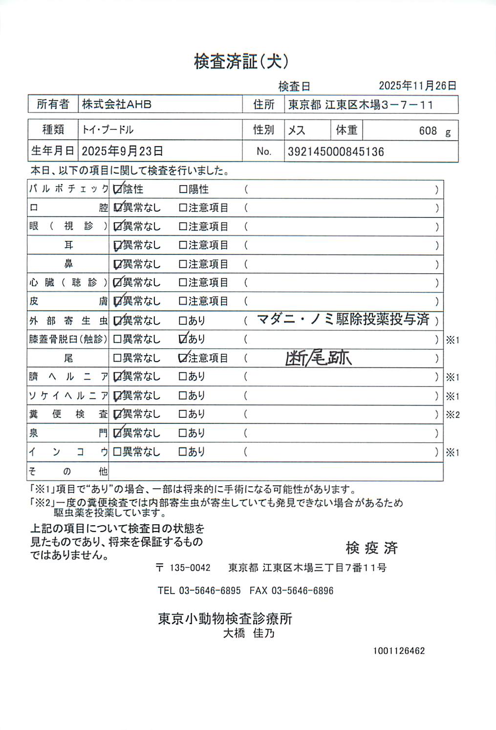 トイ・プードル
