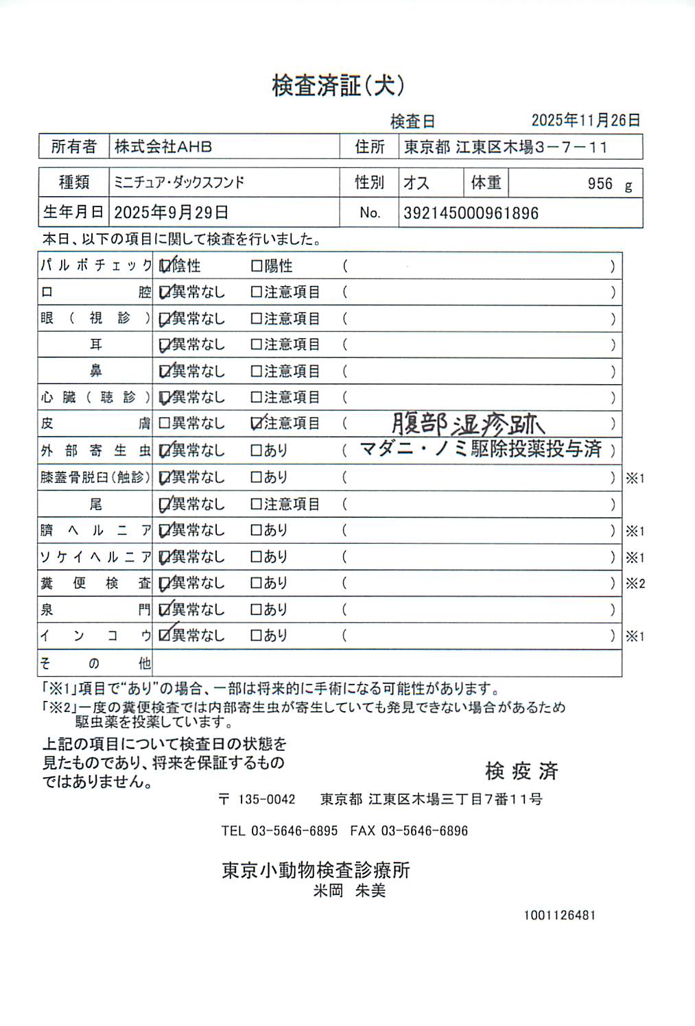 ミニチュア・ダックスフンド
