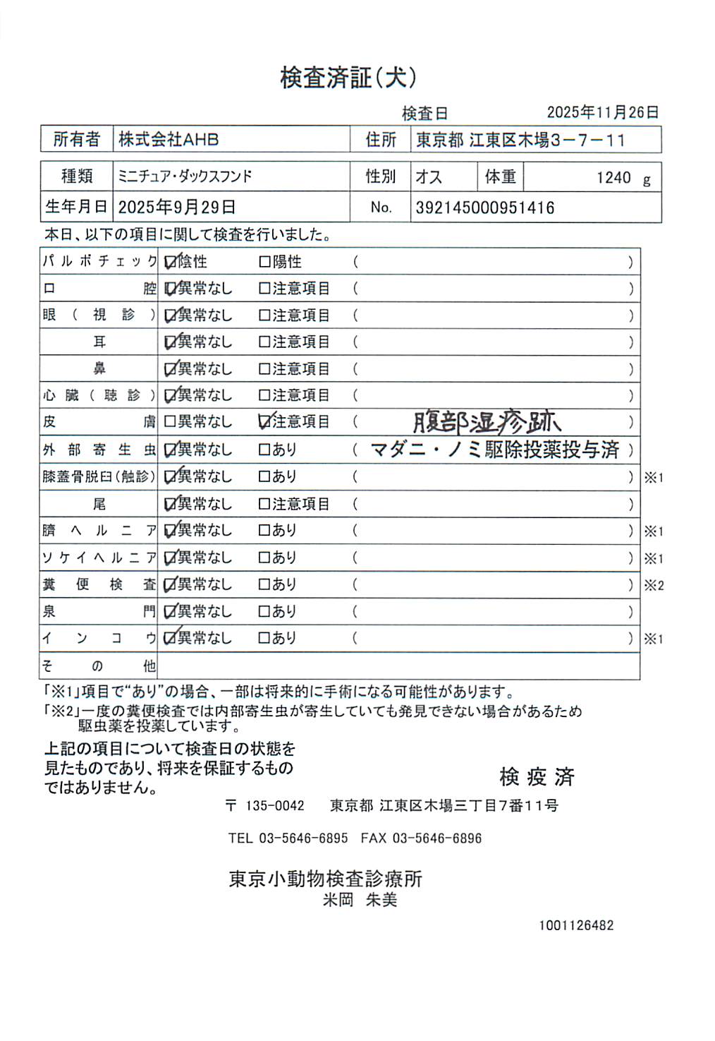 ミニチュア・ダックスフンド