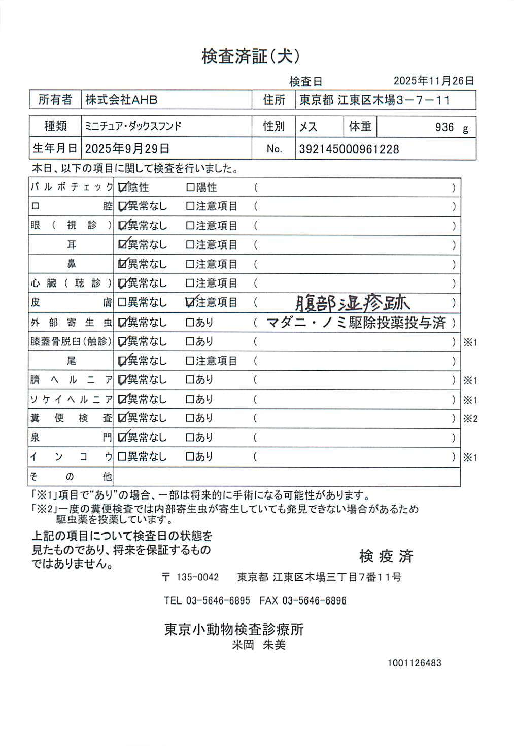 ミニチュア・ダックスフンド