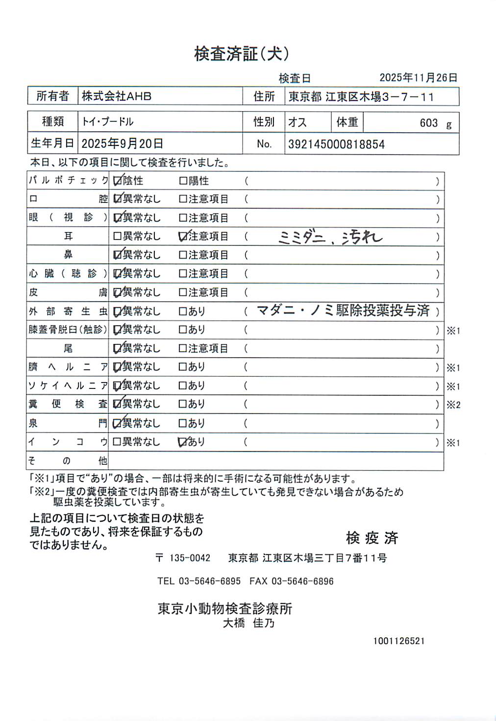 トイ・プードル