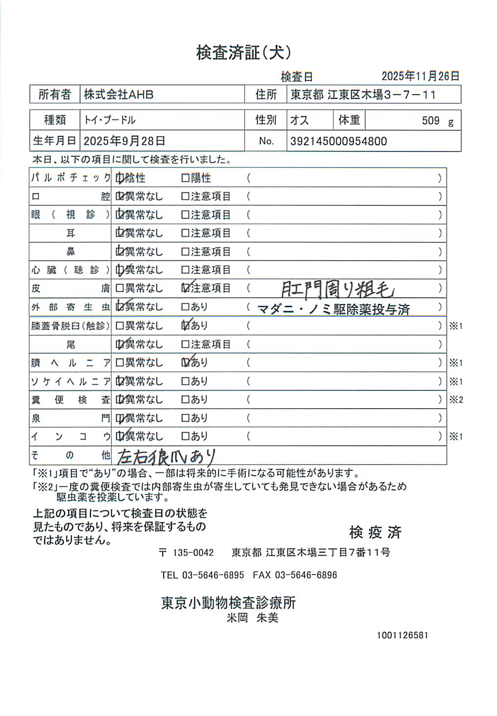 トイ・プードル