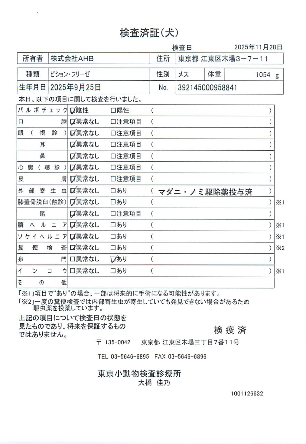 ビション・フリーゼ