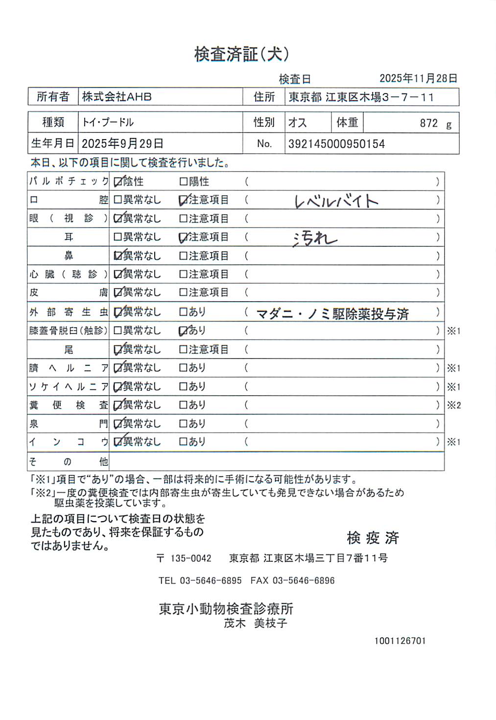 トイ・プードル