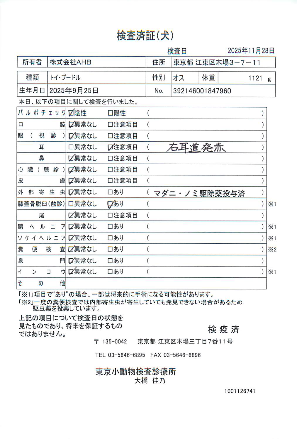 トイ・プードル