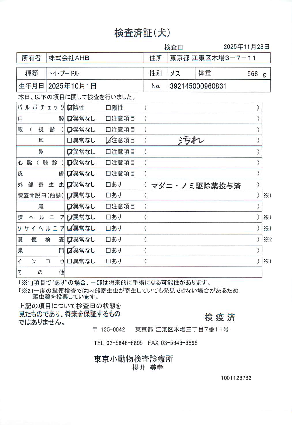 トイ・プードル
