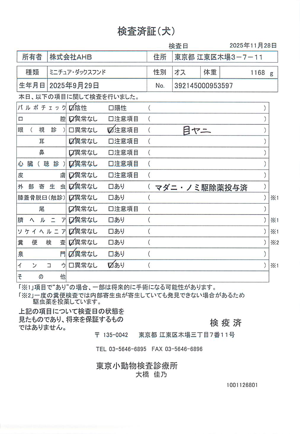 ミニチュア・ダックスフンド