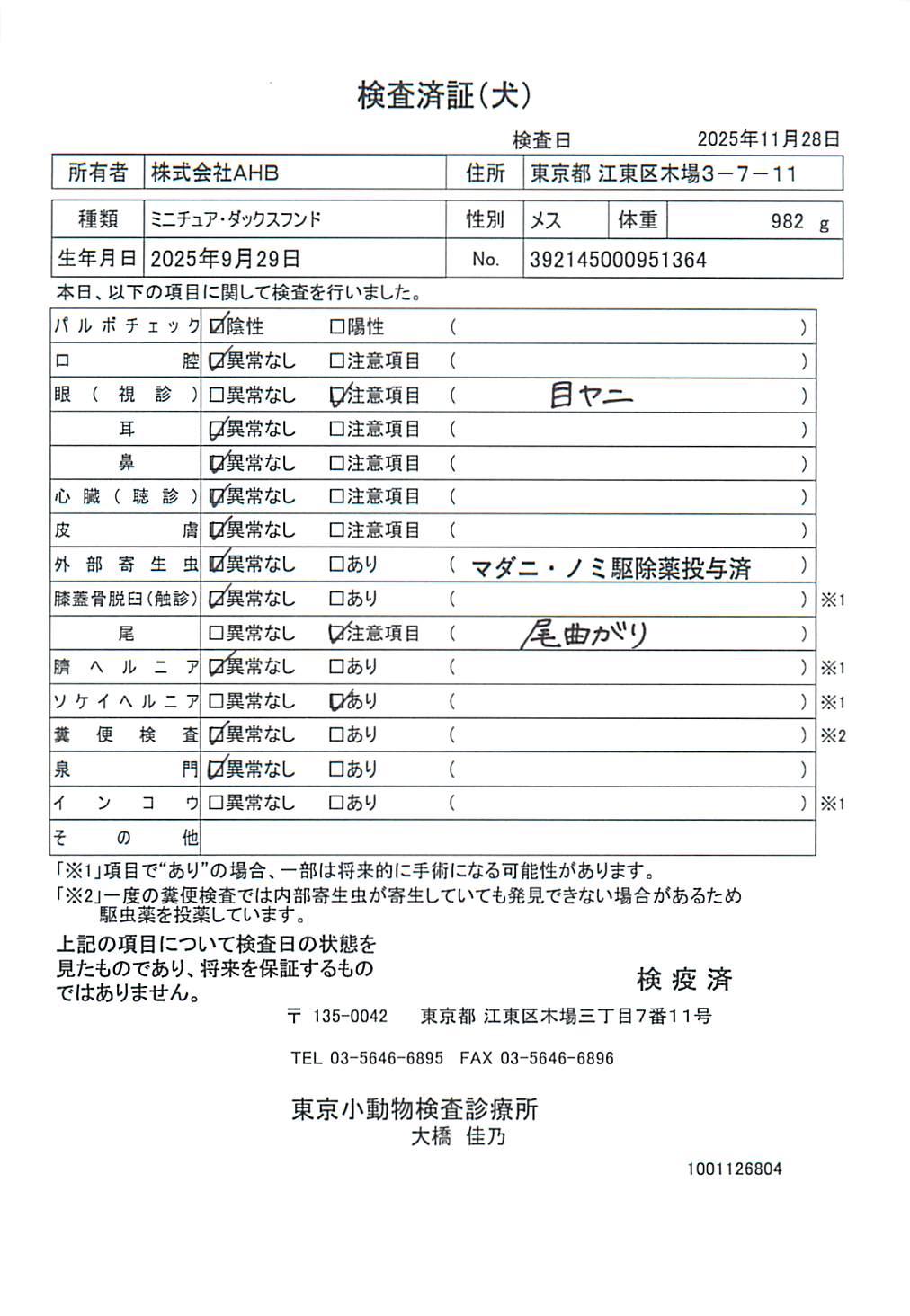 ミニチュア・ダックスフンド