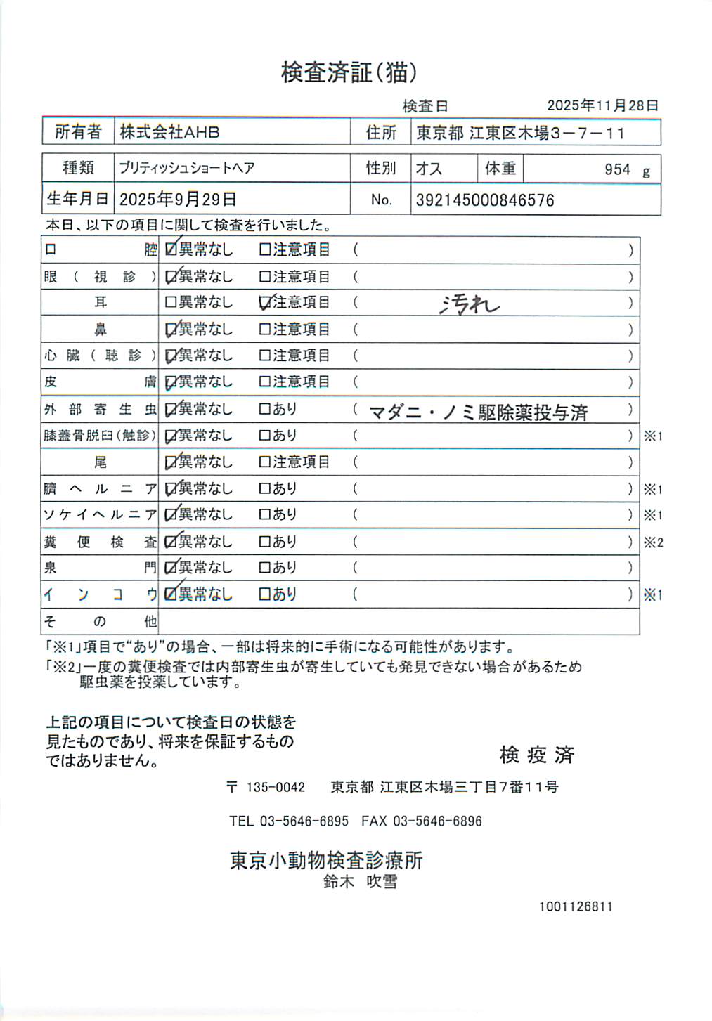 ブリティッシュショートヘア