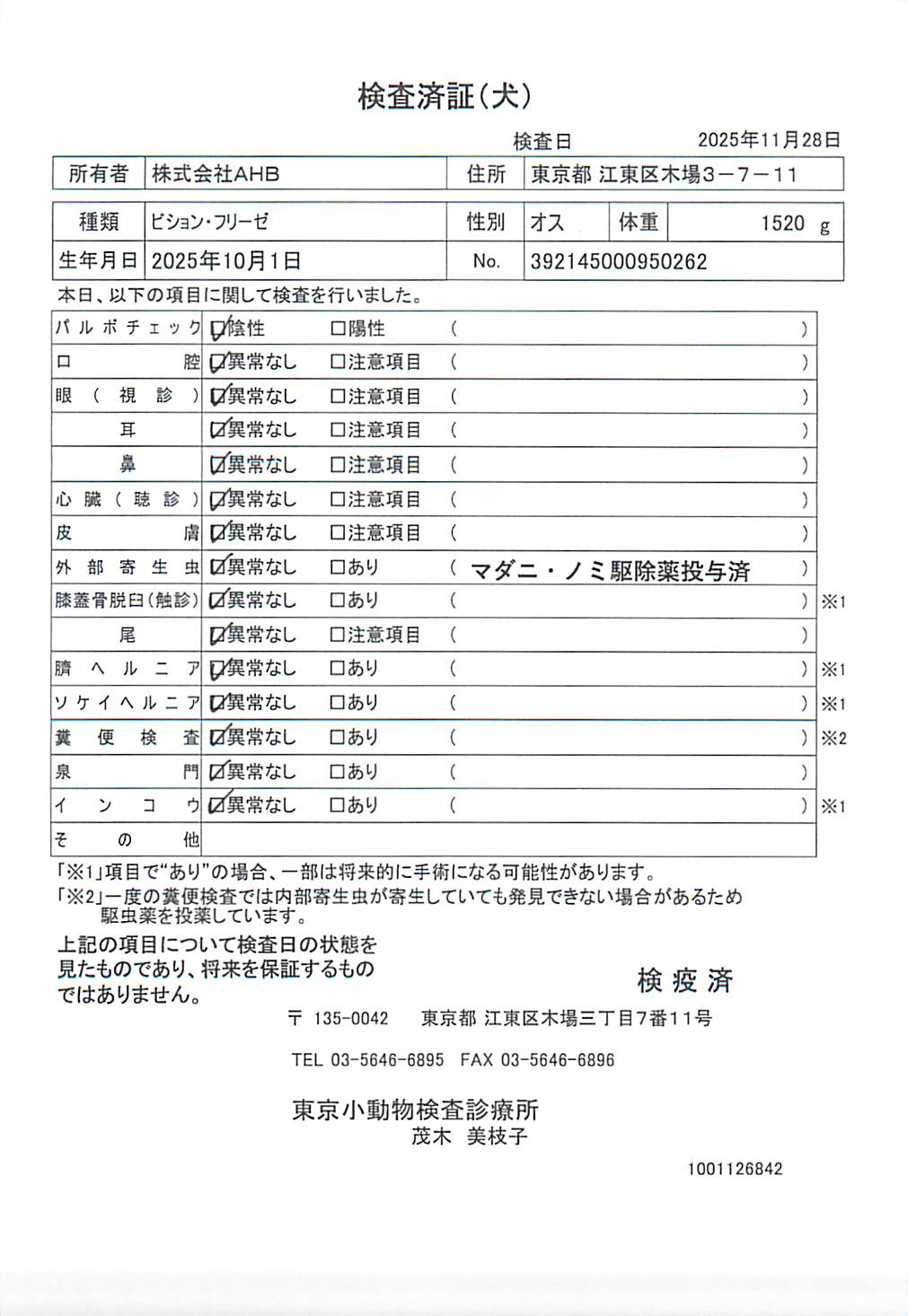 ビション・フリーゼ