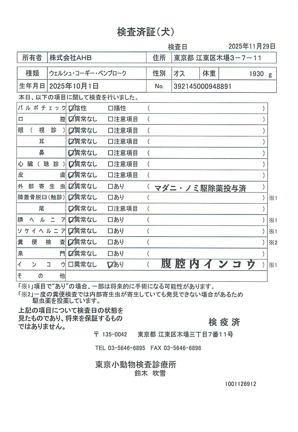 ウェルシュ・コーギー・ペンブローク