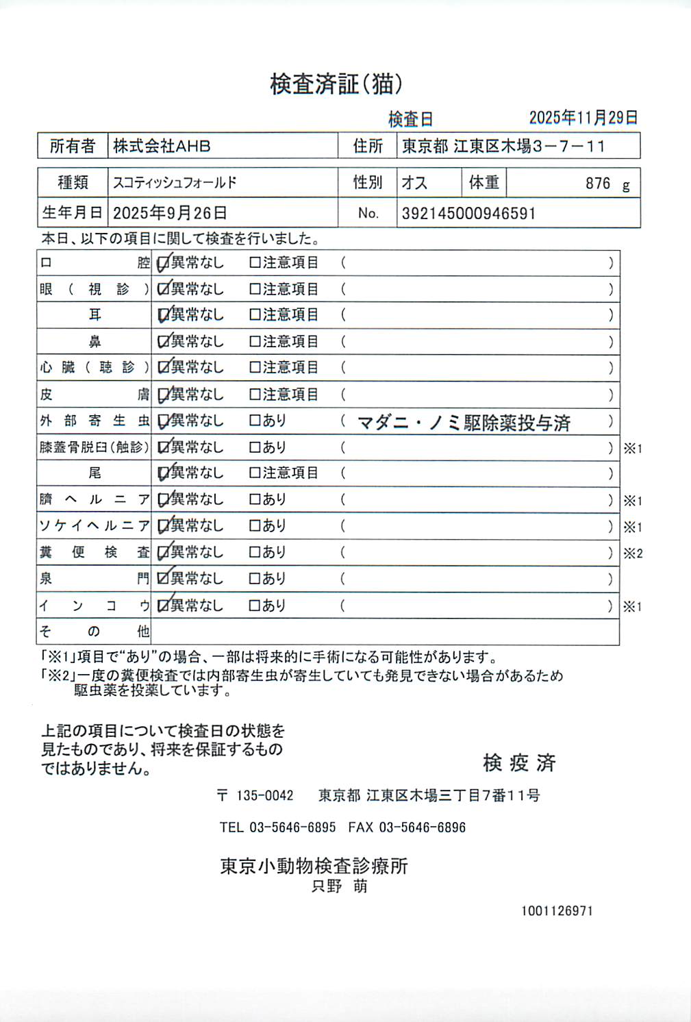 スコティッシュフォールド