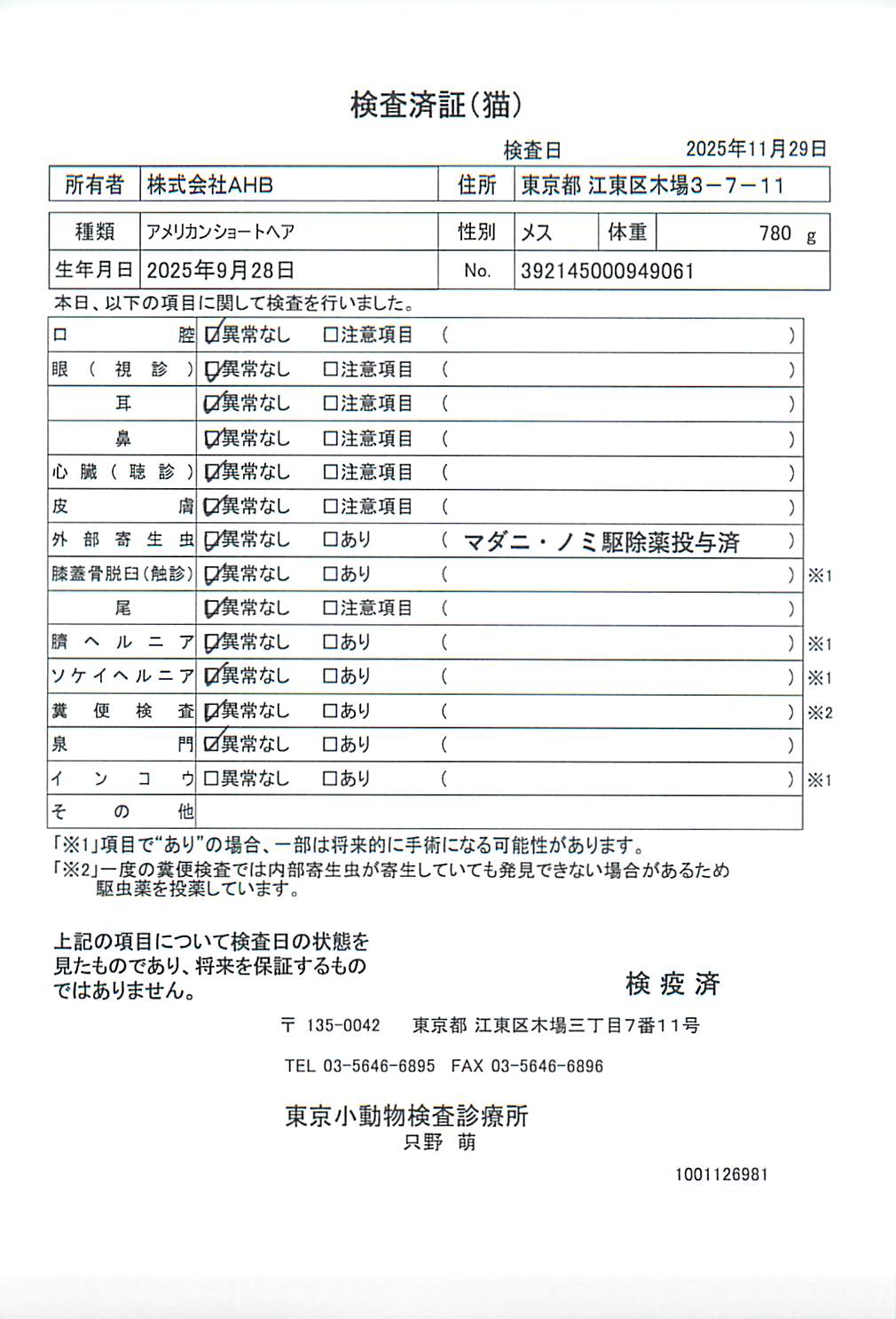 アメリカンショートヘア