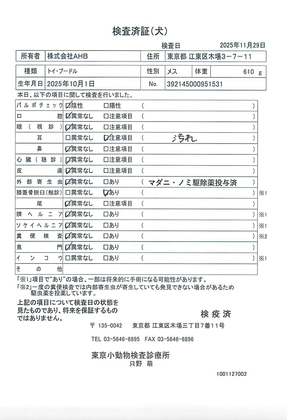 トイ・プードル